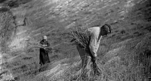 Suenos colectivos